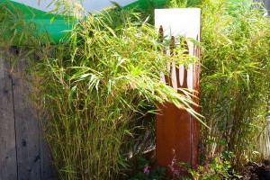 GARTENTAGE2016Gartenbau Bambuspflanzen